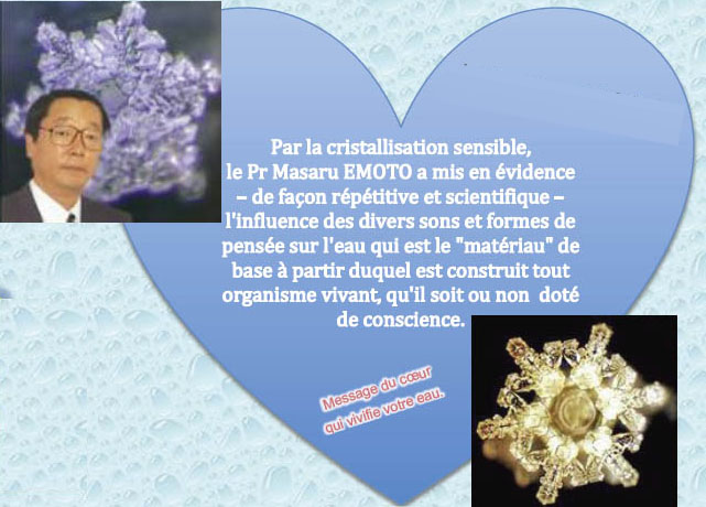 Alamdyn_Vitalisation Masaru EMOTO