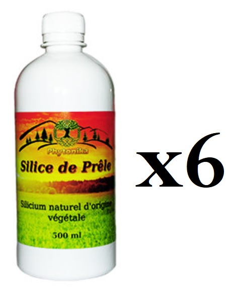 Silicium Organique Silice de Prêle - 6 x 500 ml Formule du Dr. Yves Baccichetti